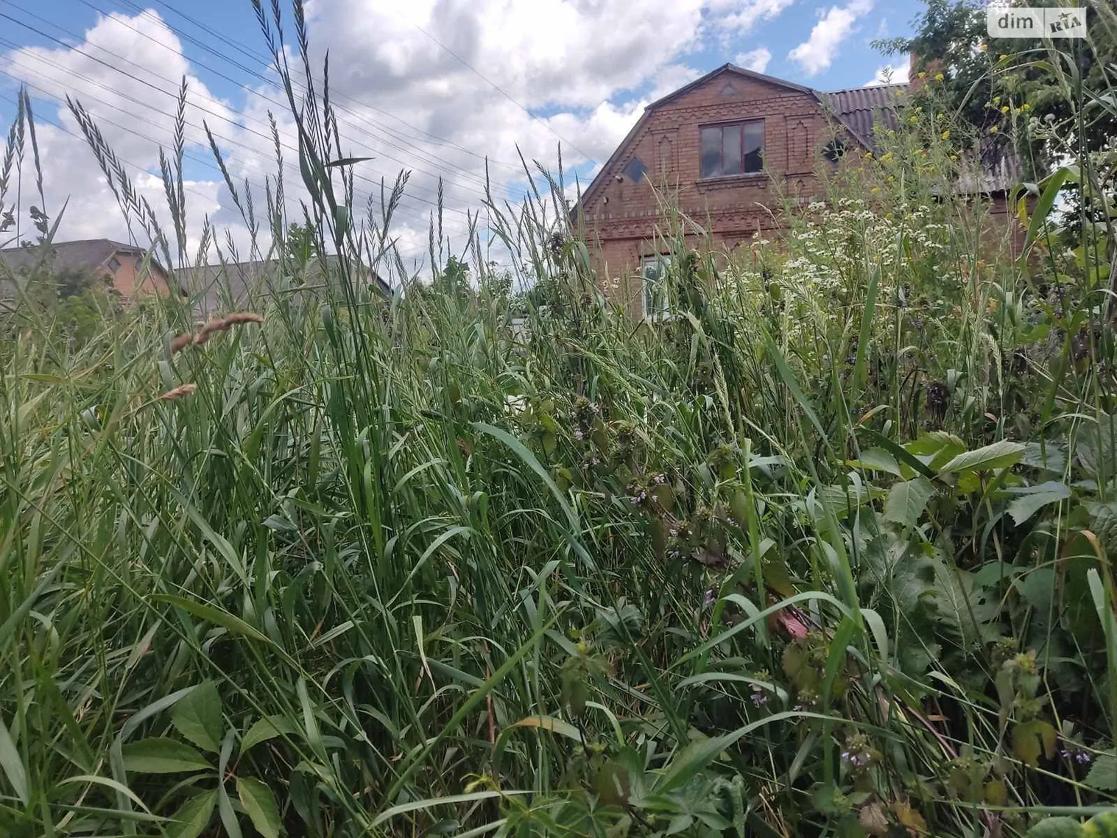 Сдается в аренду земельный участок 0.023 соток в  области, цена: 13960 грн - фото 1