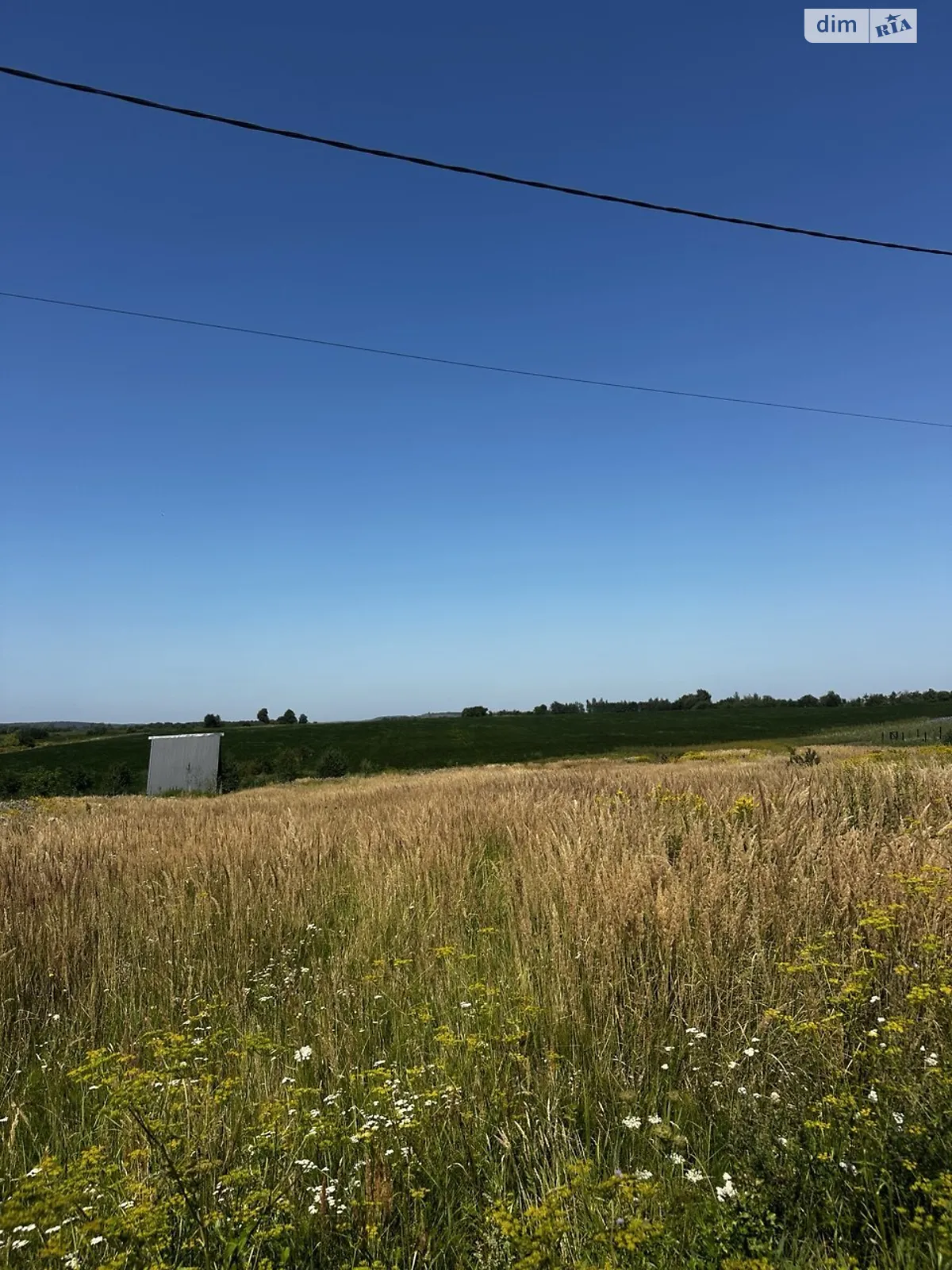 Продается земельный участок 11 соток в Львовской области, цена: 11500 $ - фото 1