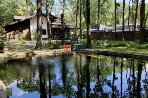 Куплю дом без посредников