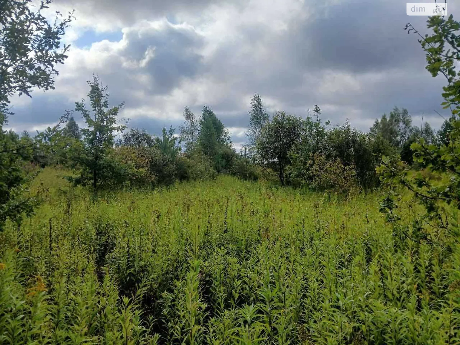 Сдается в аренду земельный участок 13 соток в Львовской области, цена: 3732 грн - фото 1