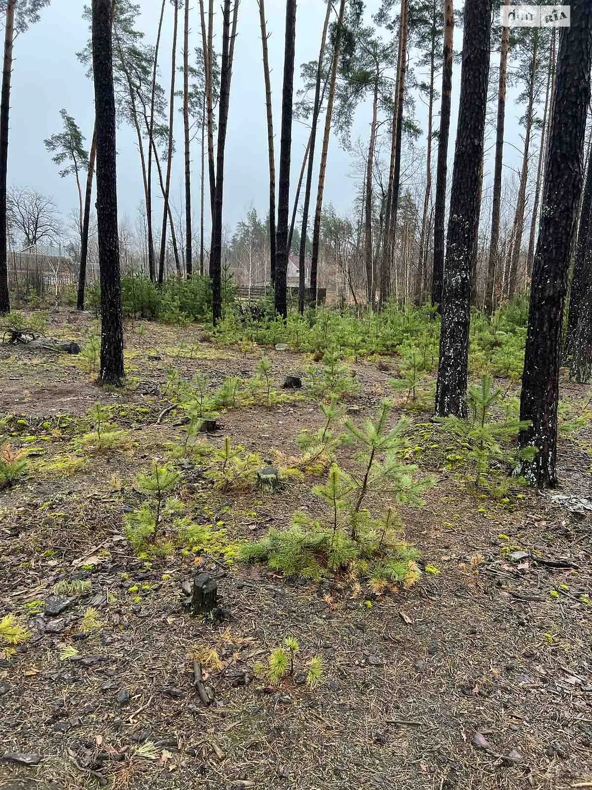 Продається земельна ділянка 7 соток у Київській області, цена: 7500 $ - фото 1