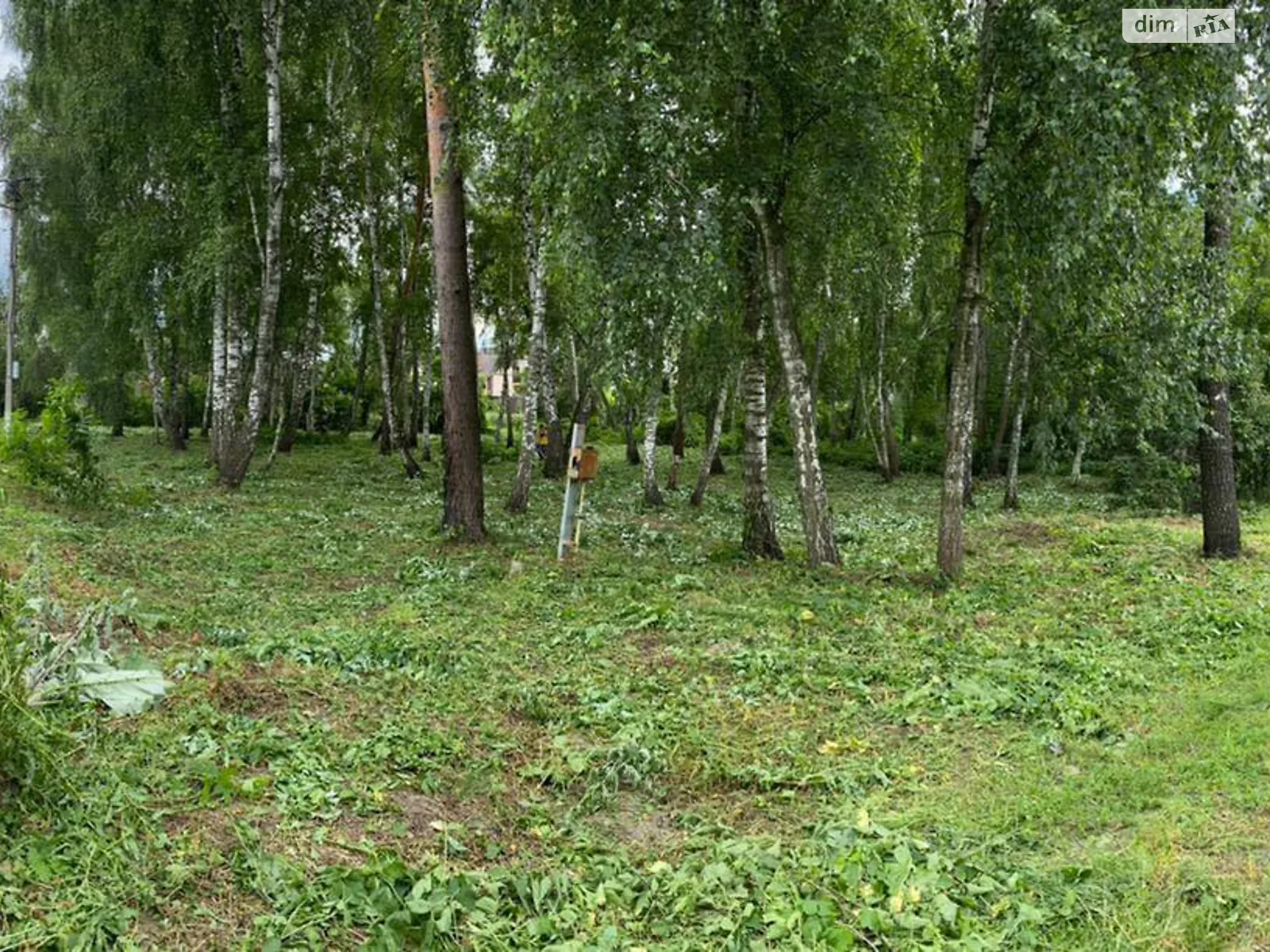 Продается земельный участок 15 соток в Киевской области, цена: 60000 $ - фото 1