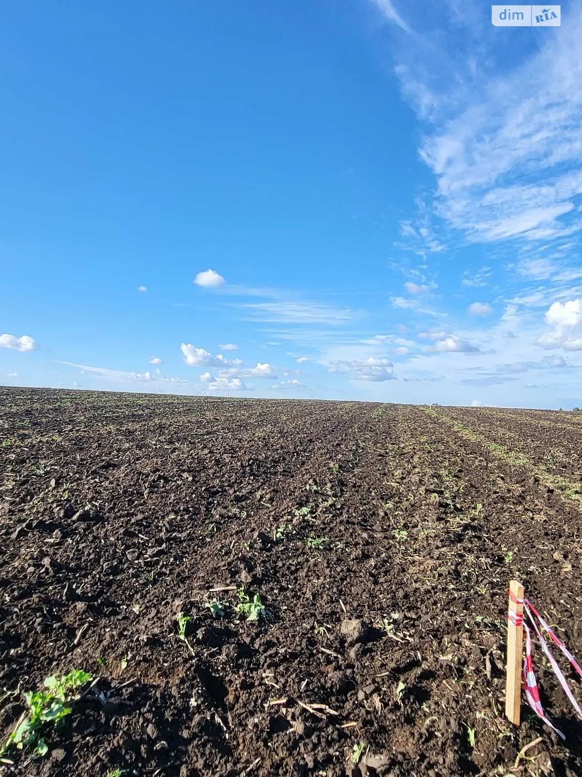 Глуховичи, цена: 10000 $ - фото 1