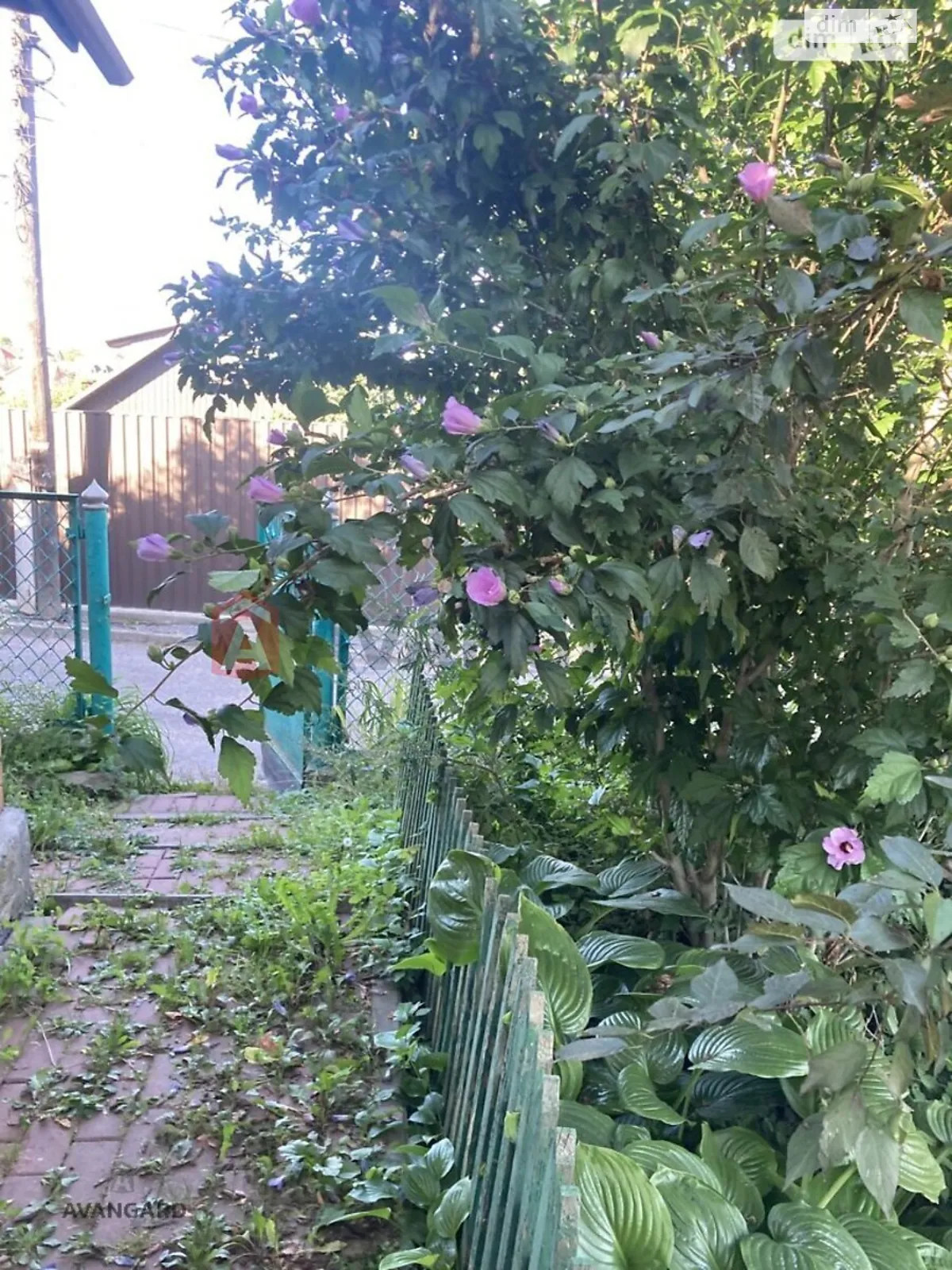Продается земельный участок 5 соток в Винницкой области, цена: 44000 $ - фото 1