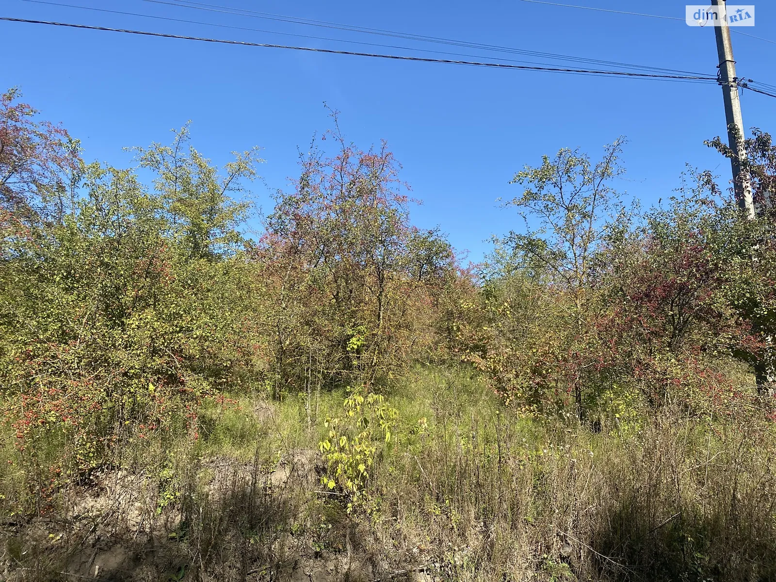Продається земельна ділянка 7 соток у Тернопільській області, цена: 17500 $ - фото 1