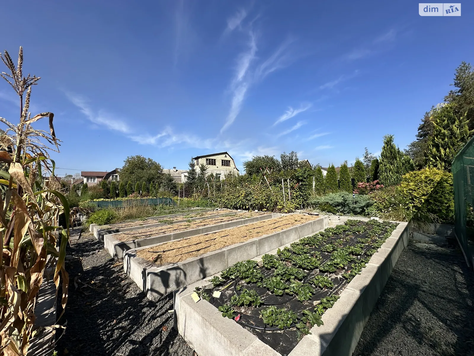 Продается дом на 3 этажа 225.6 кв. м с террасой, цена: 297500 $ - фото 1