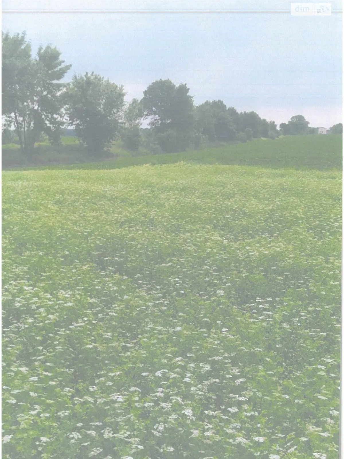 Сдается в аренду земельный участок 5.7698 соток в Киевской области, цена: 20160 грн - фото 1