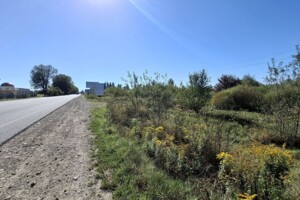 Продаж землі сільськогосподарського призначення, Івано-Франківська, Березівка