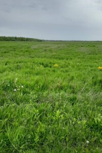 Аренда участков