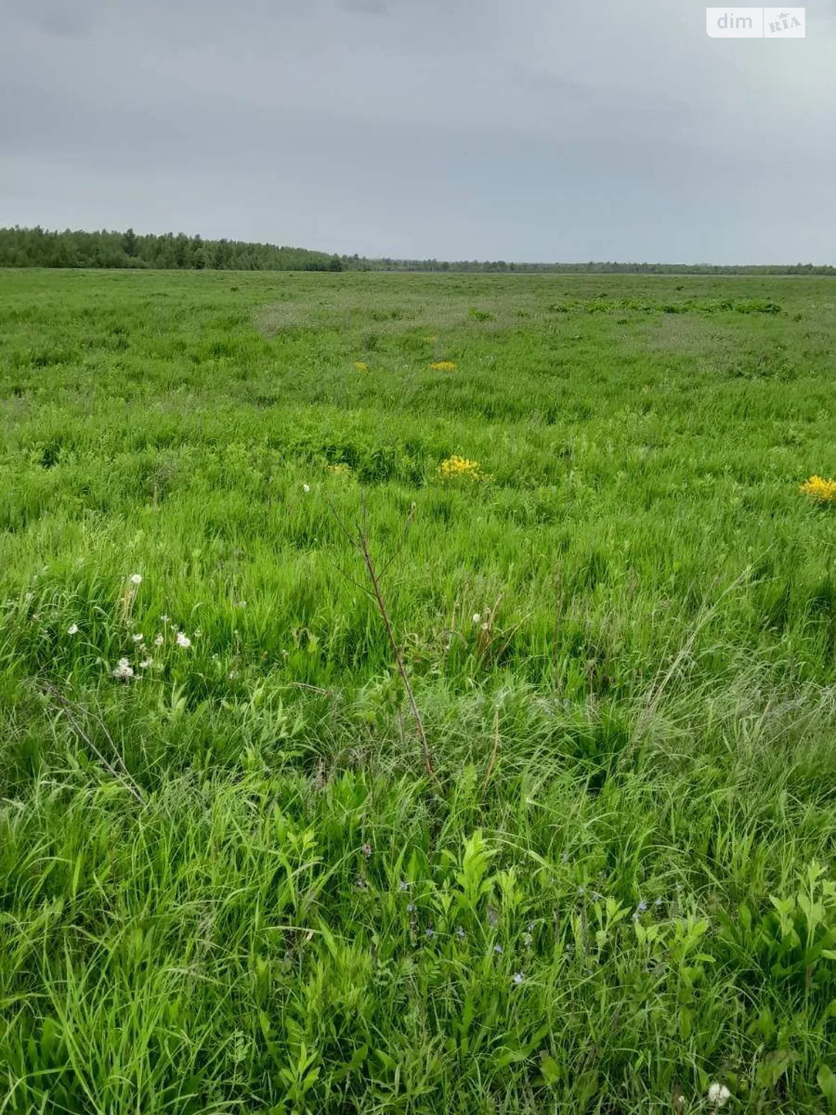 Сдается в аренду земельный участок 10.7804 соток в  области, цена: 27286 грн - фото 1