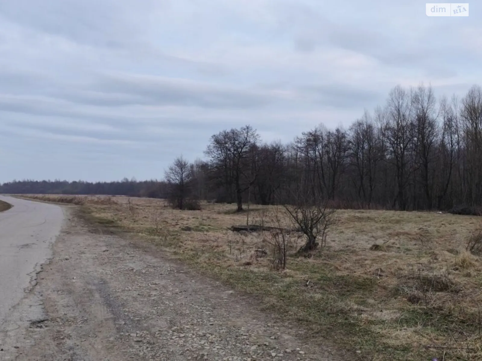 Тисов, цена: 17336 грн - фото 1