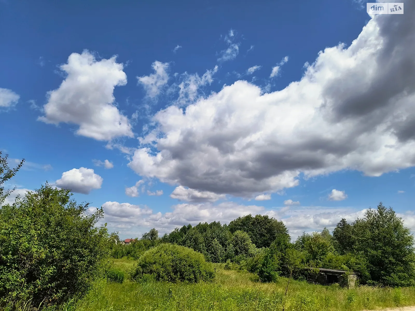 Продается земельный участок 31 соток в  области, цена: 42000 $ - фото 1