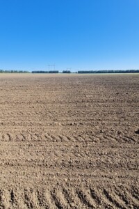 Продажа земли сельскохозяйственного назначения, Винницкая, Горбановка