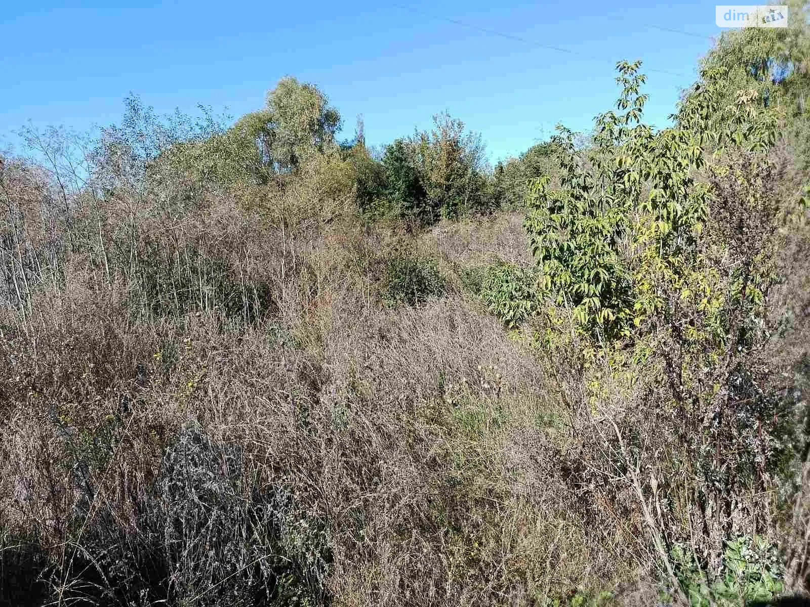 Сдается в аренду земельный участок 0.2127 соток в Винницкой области, цена: 19673 грн - фото 1