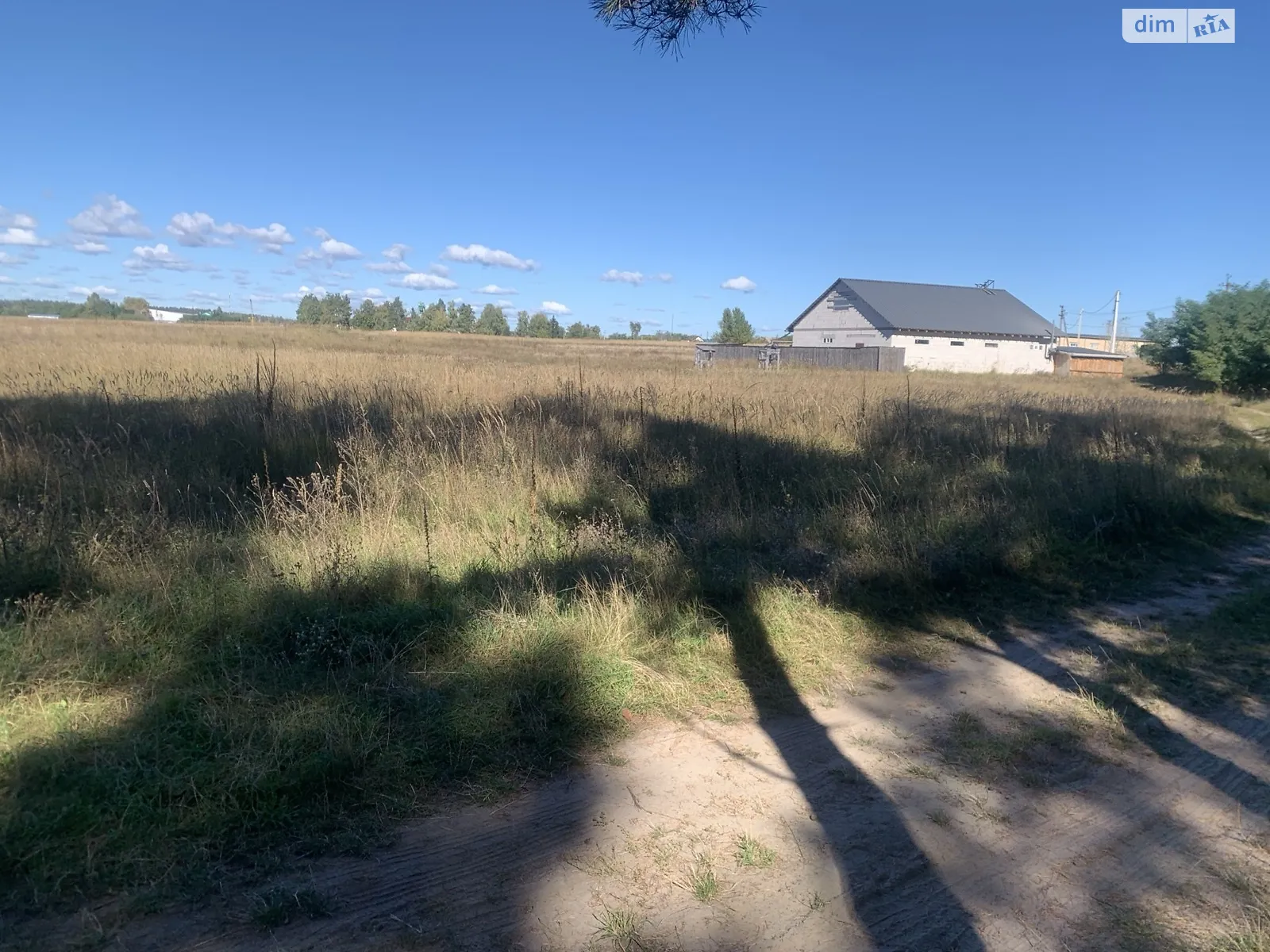 урочище Букаєвиця Старі Петрівці, цена: 13500 $ - фото 1