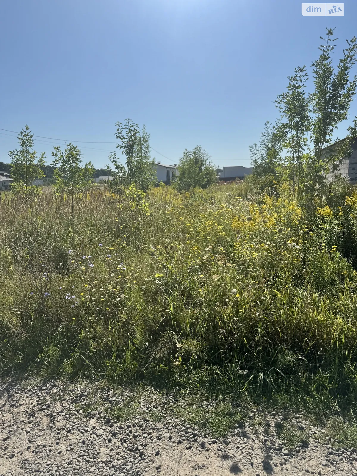 Продается земельный участок 25 соток в Винницкой области, цена: 6500 $ - фото 1