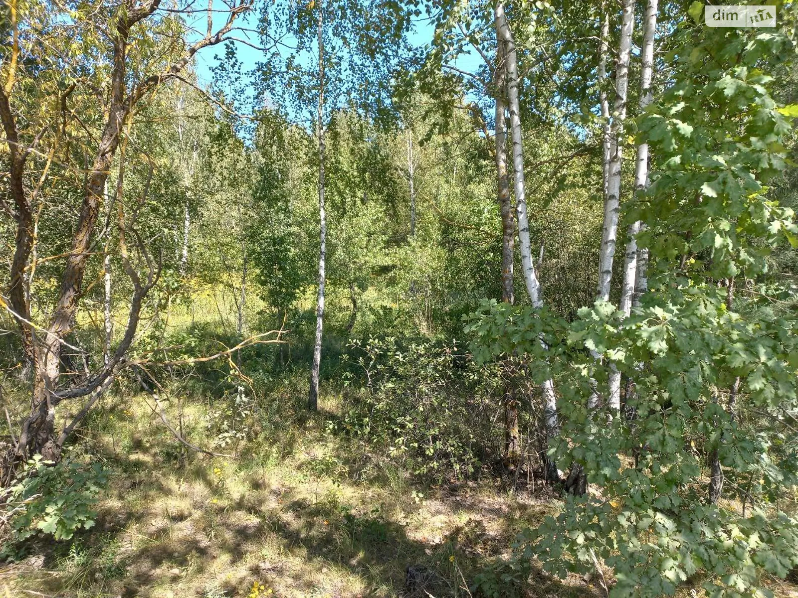 Продается земельный участок 10 соток в Житомирской области, цена: 3400 $ - фото 1