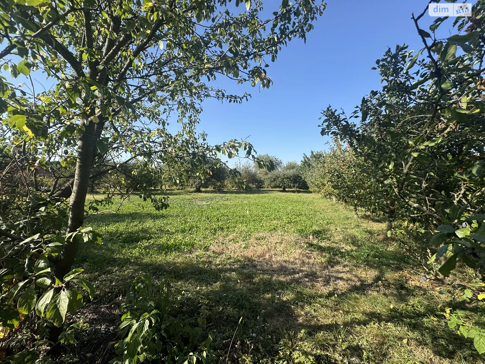 Продается земельный участок 10 соток в Винницкой области, цена: 40000 $ - фото 1