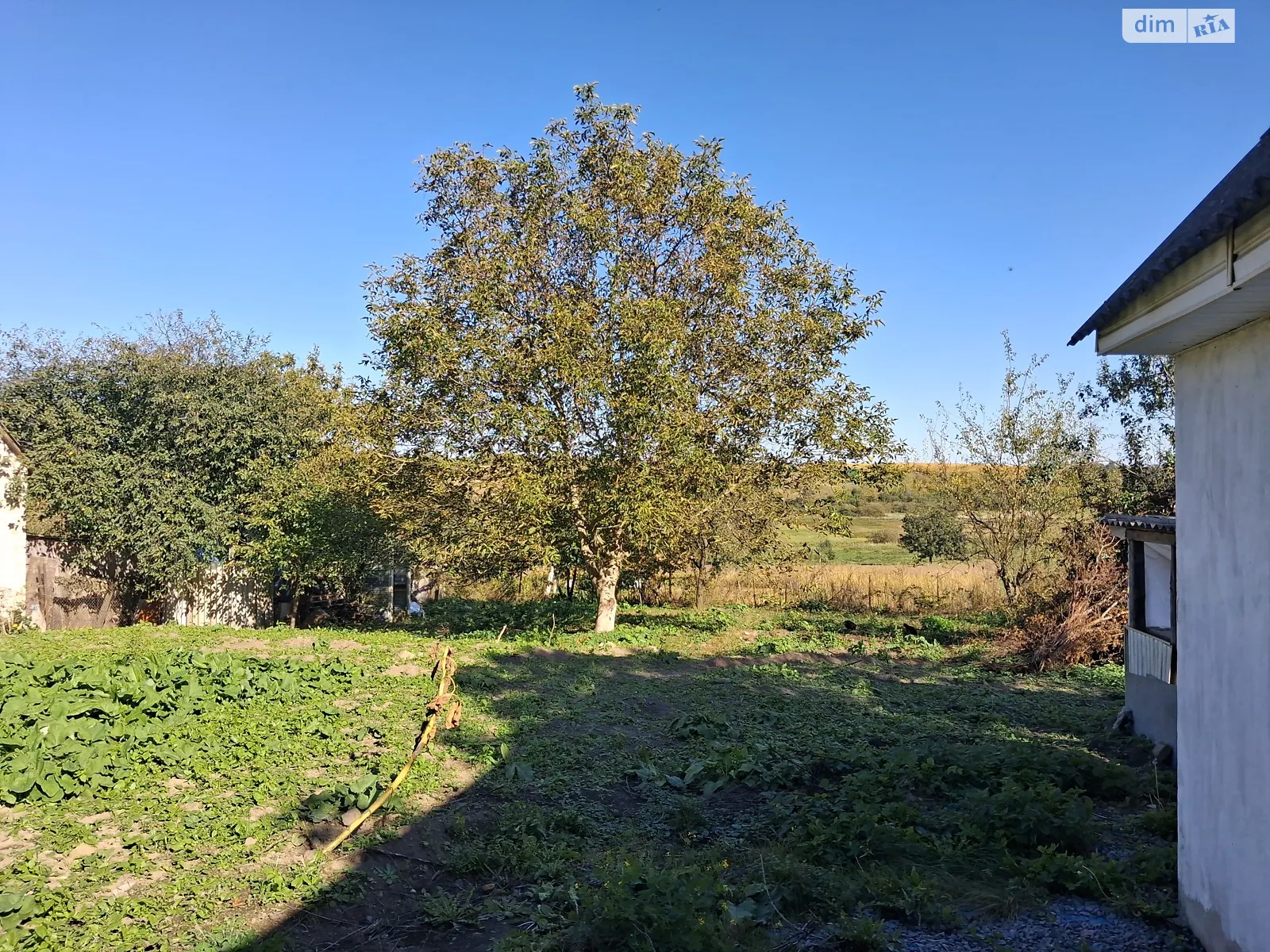 Продается земельный участок 39.92 соток в Ровенской области, цена: 25000 $ - фото 1