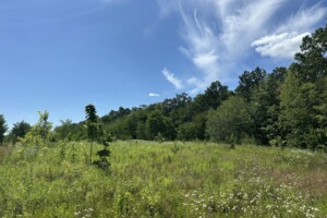 Продаж землі сільськогосподарського призначення, Вінницька, Агрономічне