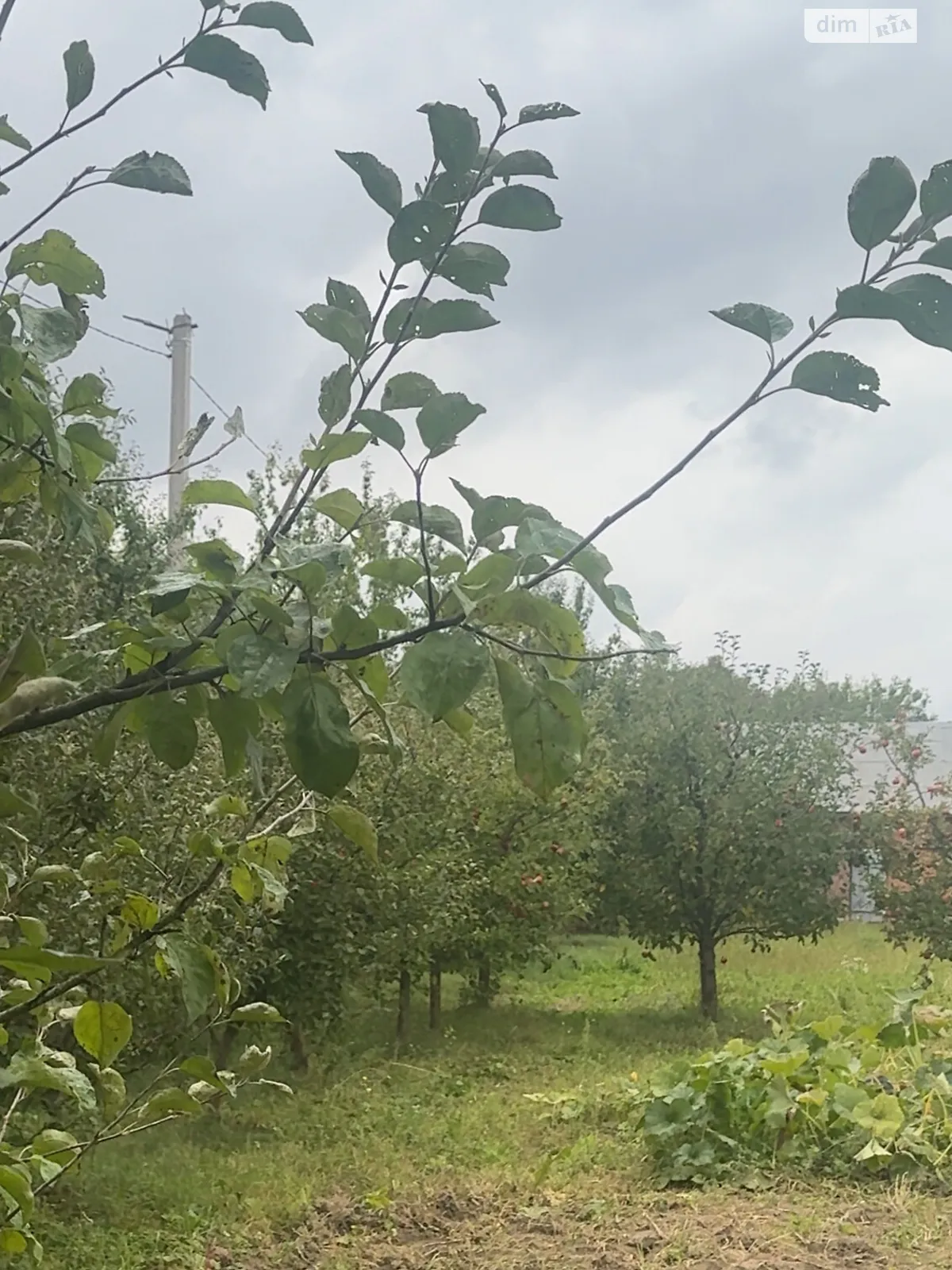 Продается земельный участок 5 соток в Винницкой области, цена: 20000 $ - фото 1