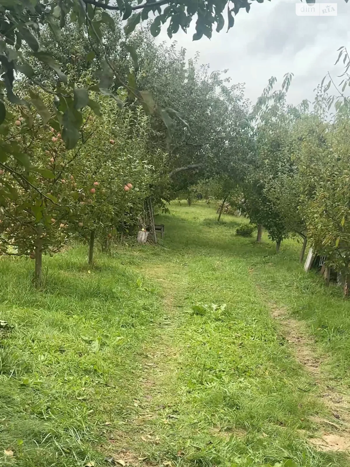 Продается земельный участок 5 соток в Винницкой области, цена: 20000 $ - фото 1