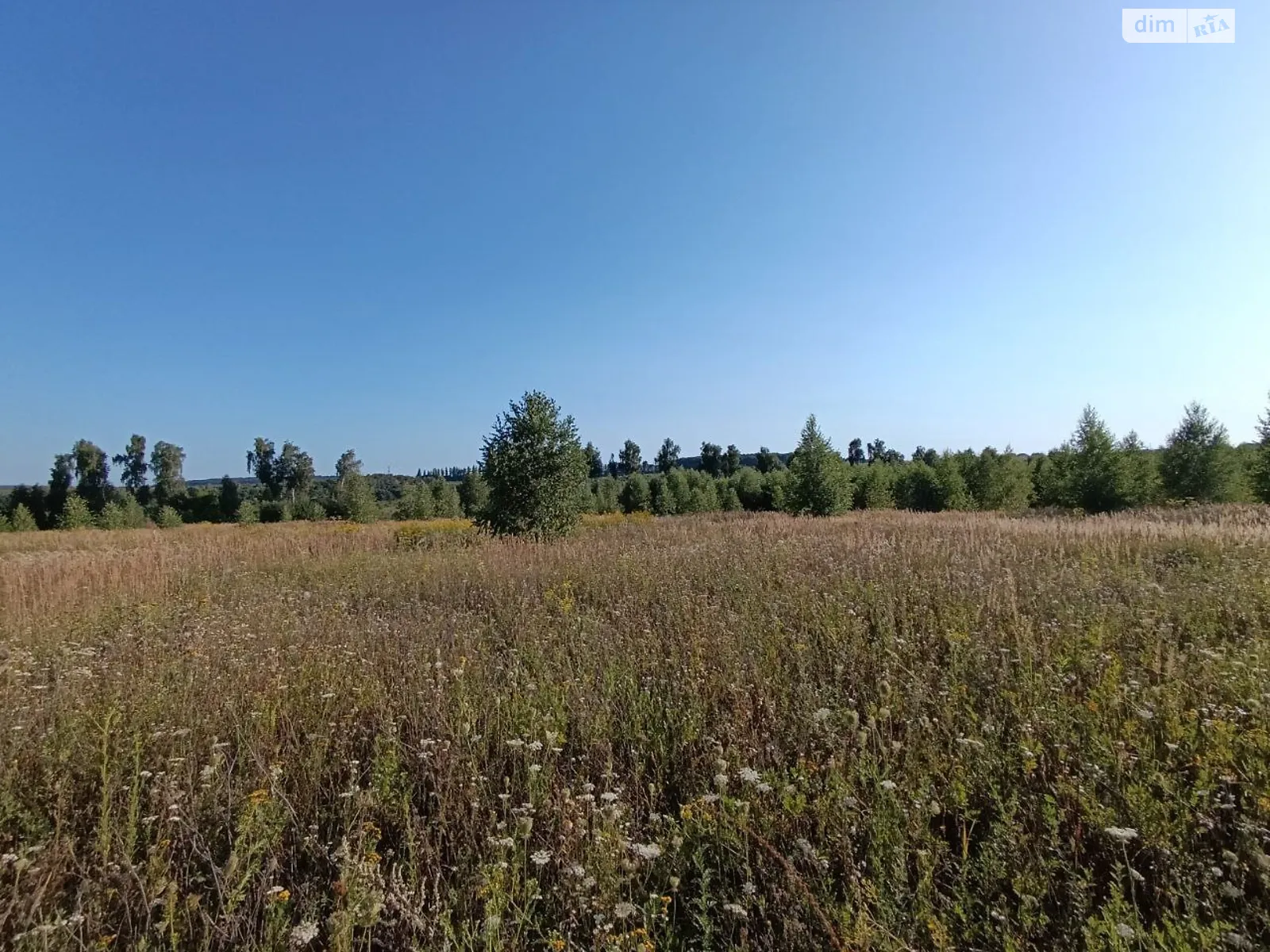 Продается земельный участок 10 соток в Хмельницкой области, цена: 8000 $ - фото 1