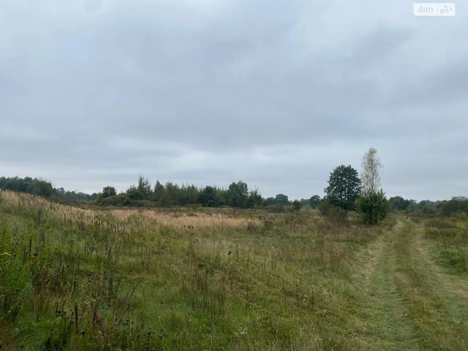 Сдается в аренду земельный участок 11.5645 соток в Львовской области, цена: 22678 грн - фото 1