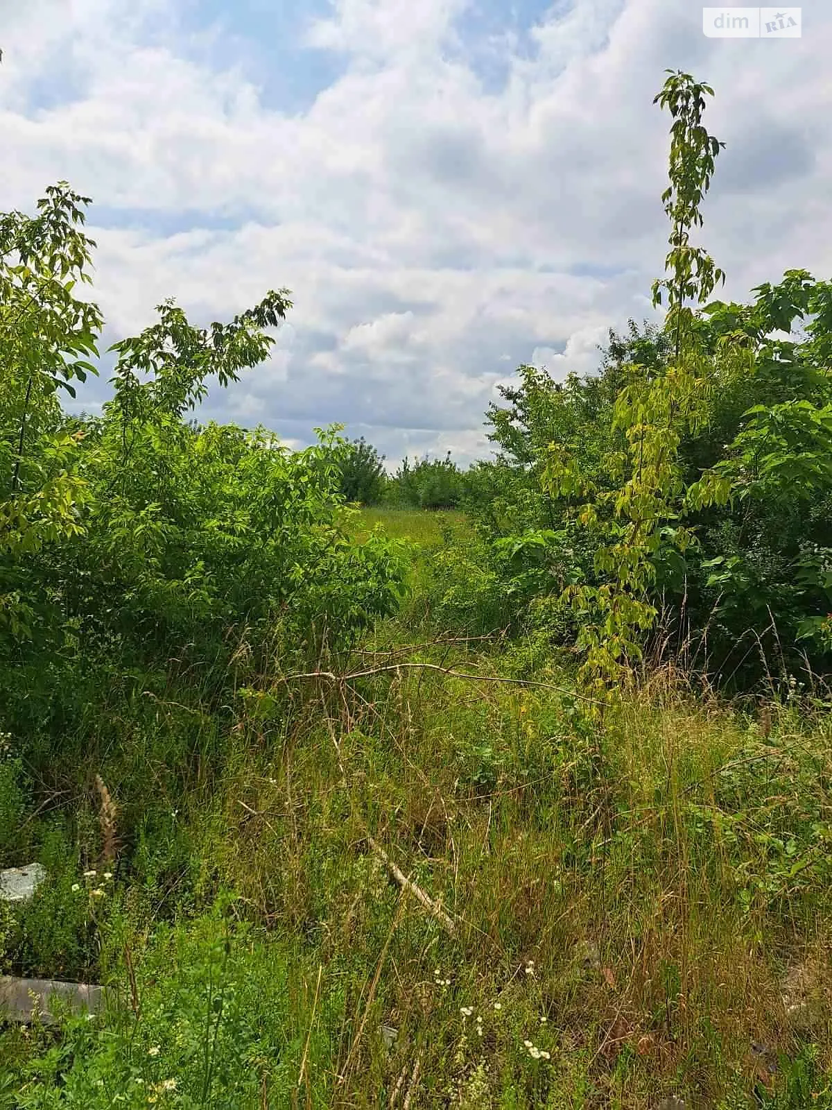 Сдается в аренду земельный участок 3.3561 соток в области, цена: 270857 грн - фото 1