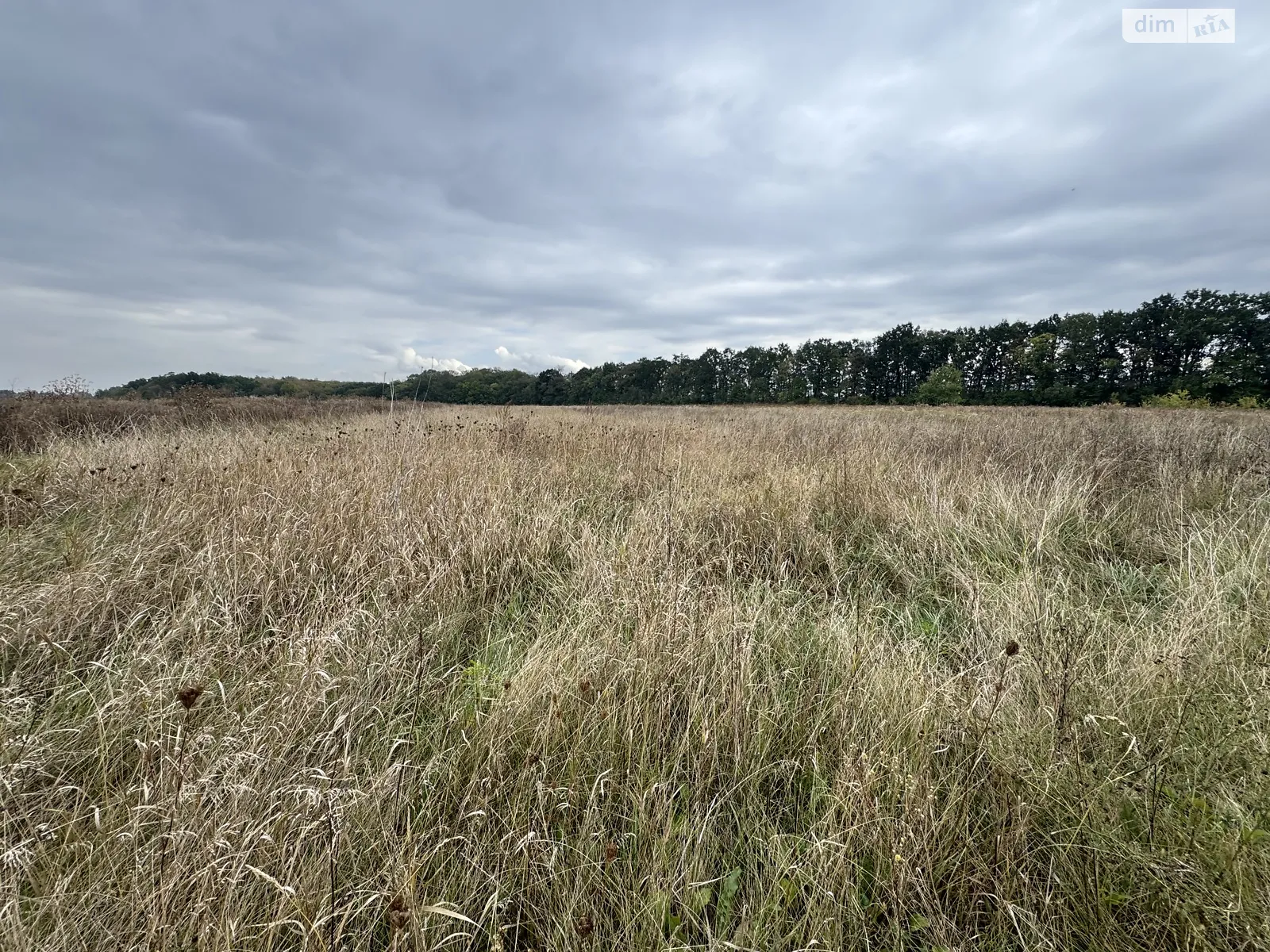 Продается земельный участок 10 соток в Винницкой области, цена: 12000 $ - фото 1