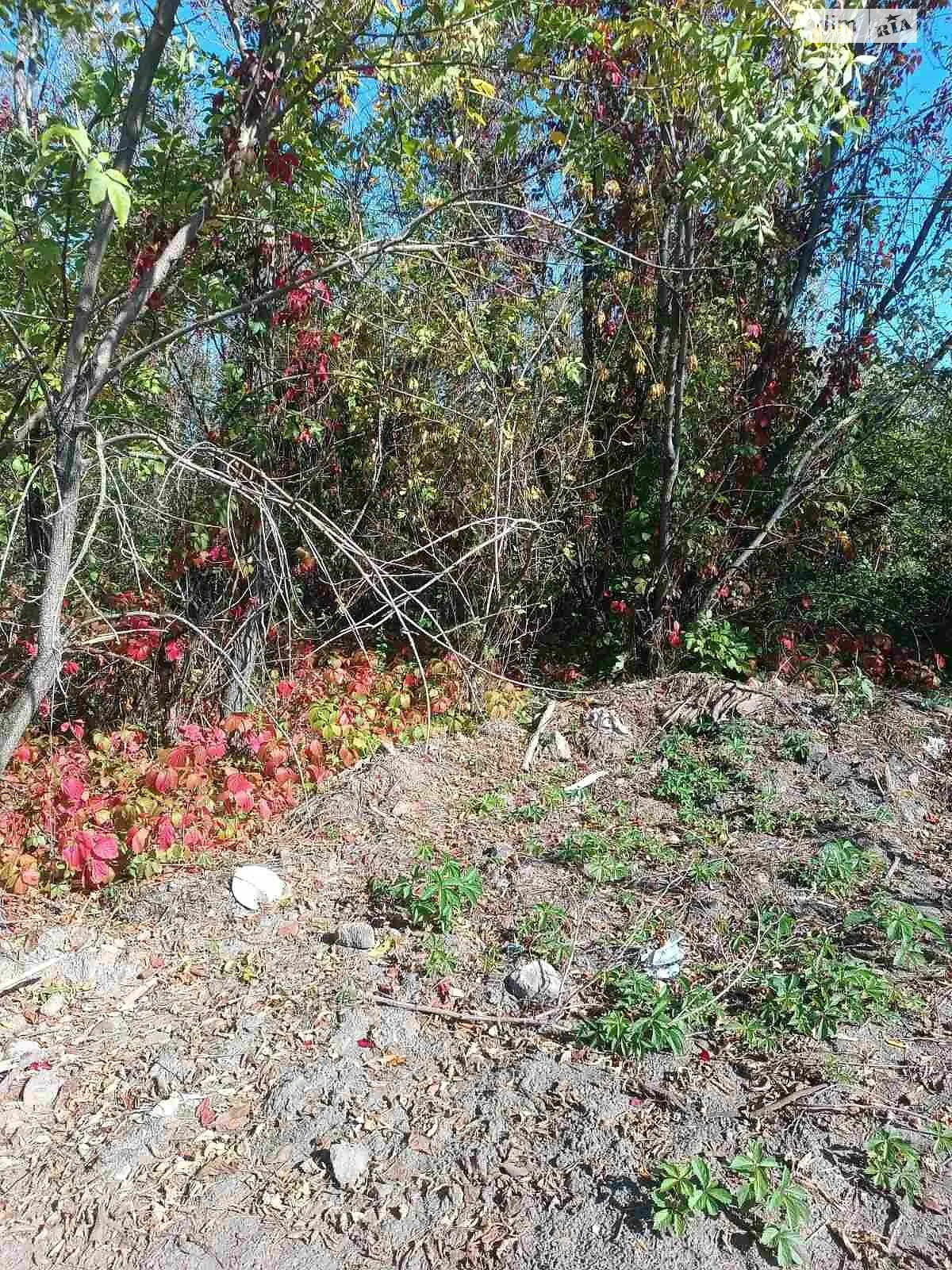 Здається в оренду земельна ділянка 0.2604 соток у Вінницькій області, цена: 53805 грн - фото 1