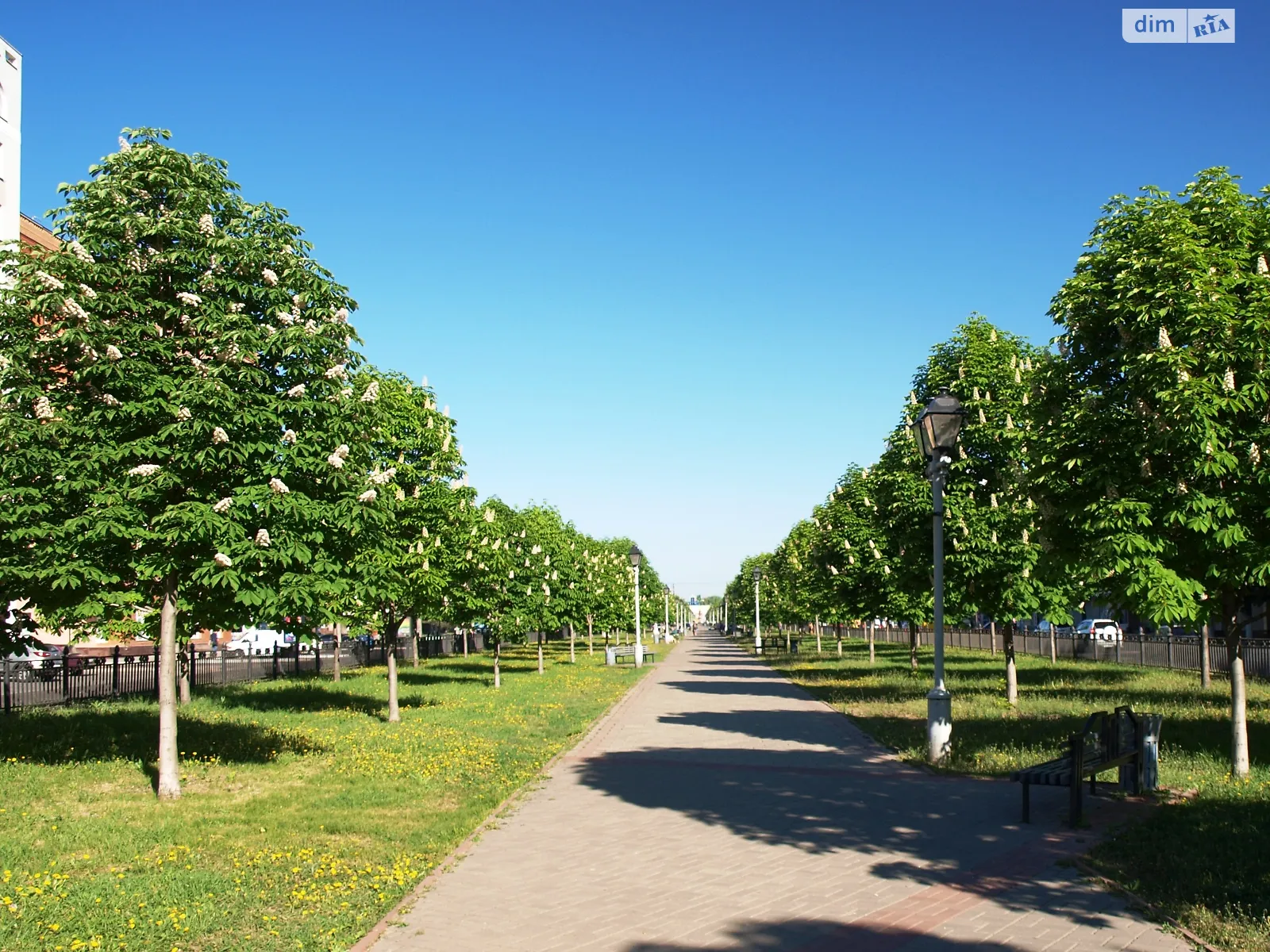 Продается 2-комнатная квартира 48 кв. м в Полтаве, ул. Юлиана Матвийчука(Пушкина), 151 - фото 1