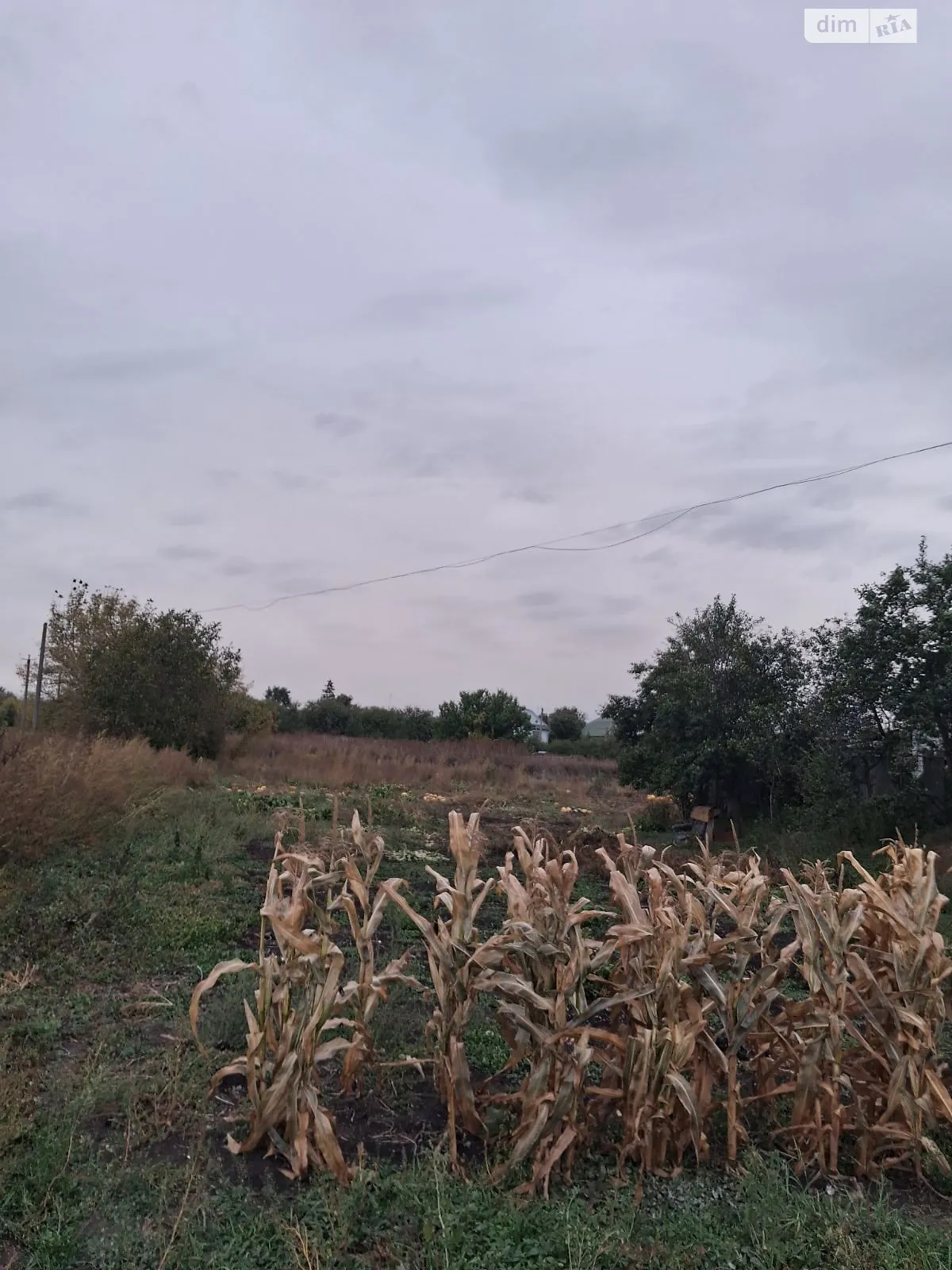 Сдается в аренду земельный участок 0.1195 соток в  области, цена: 314 грн - фото 1