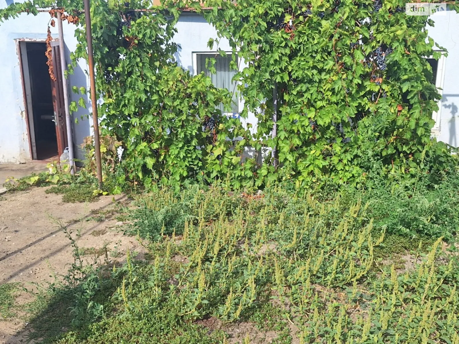 Продается одноэтажный дом 62 кв. м с террасой, цена: 7000 $ - фото 1