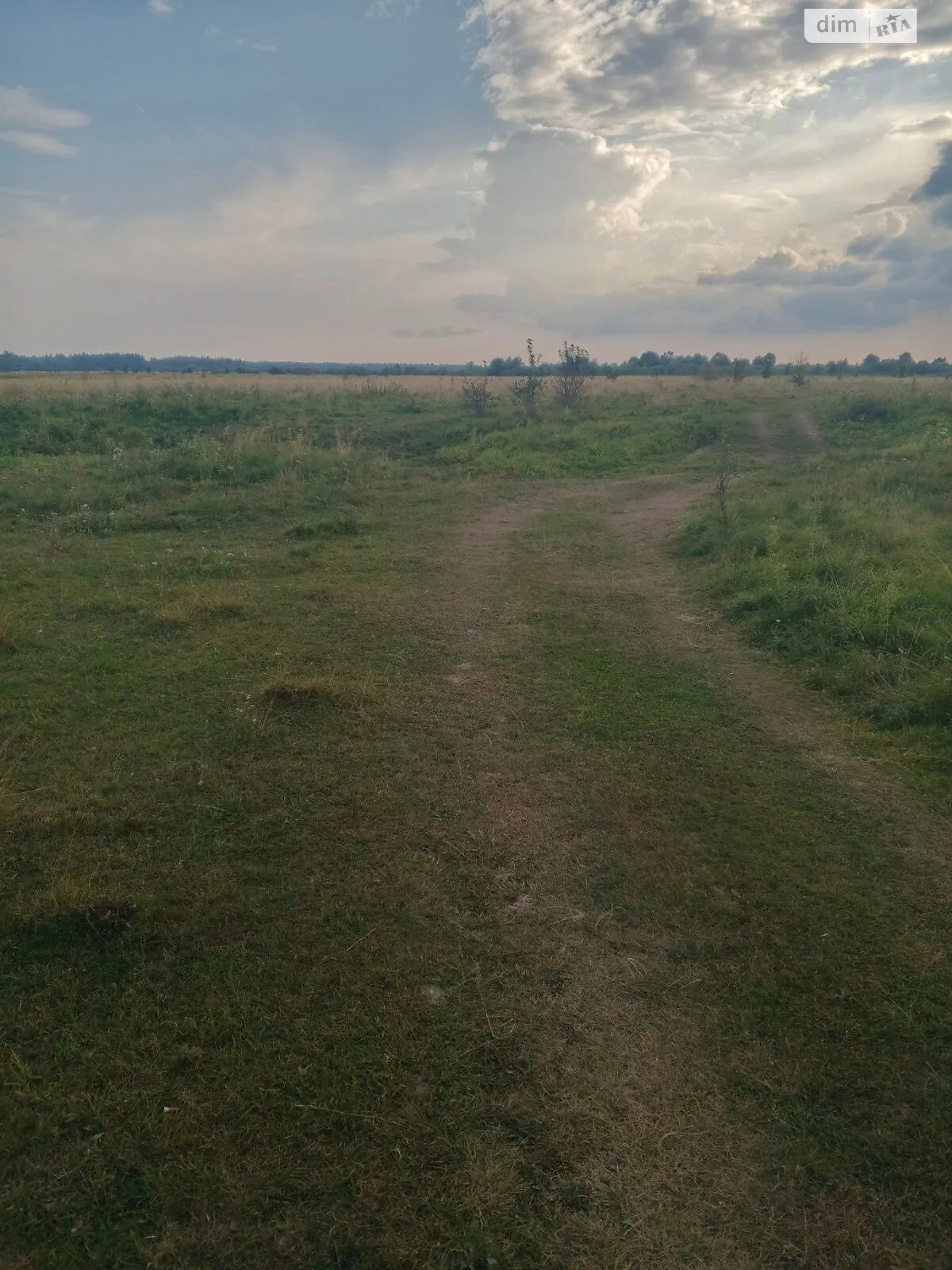 Сдается в аренду земельный участок 20 соток в области, цена: 9871 грн - фото 1