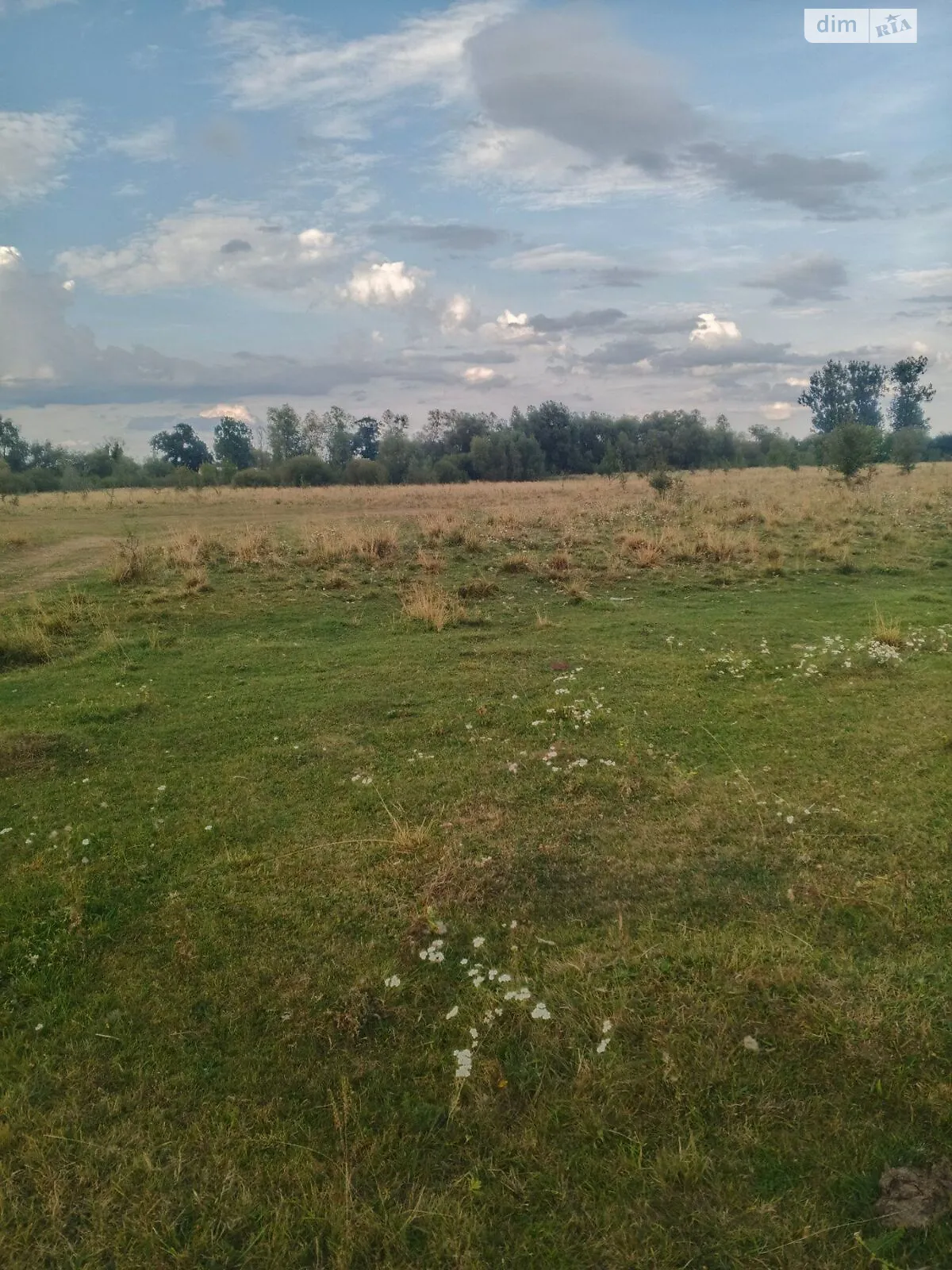 Сдается в аренду земельный участок 18 соток в области, цена: 8912 грн - фото 1