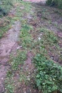 Продажа земельных участков в Стрию Куплю земельный участок в Стрию без посредников