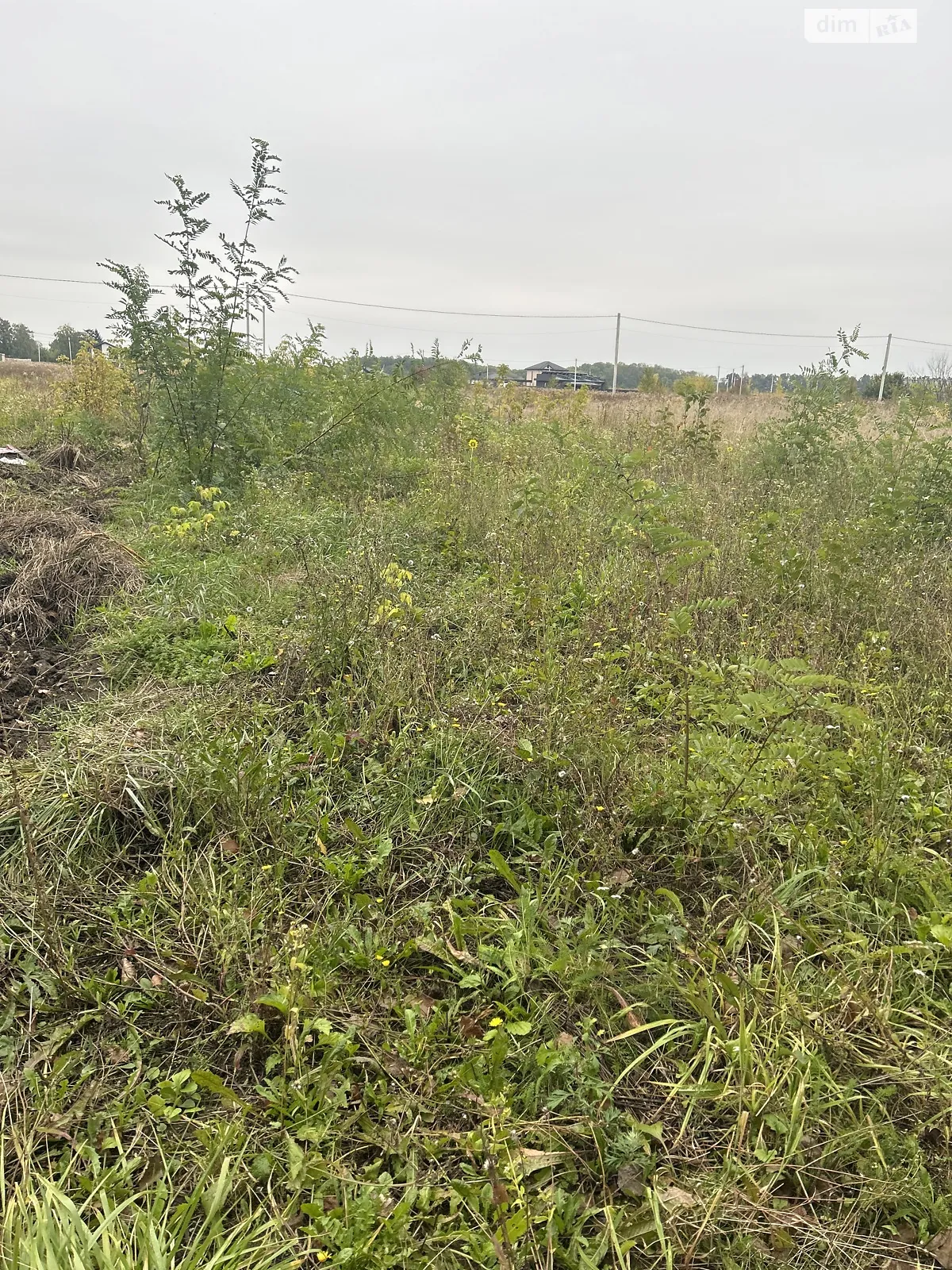 Продается земельный участок 6 соток в Винницкой области, цена: 25000 $ - фото 1