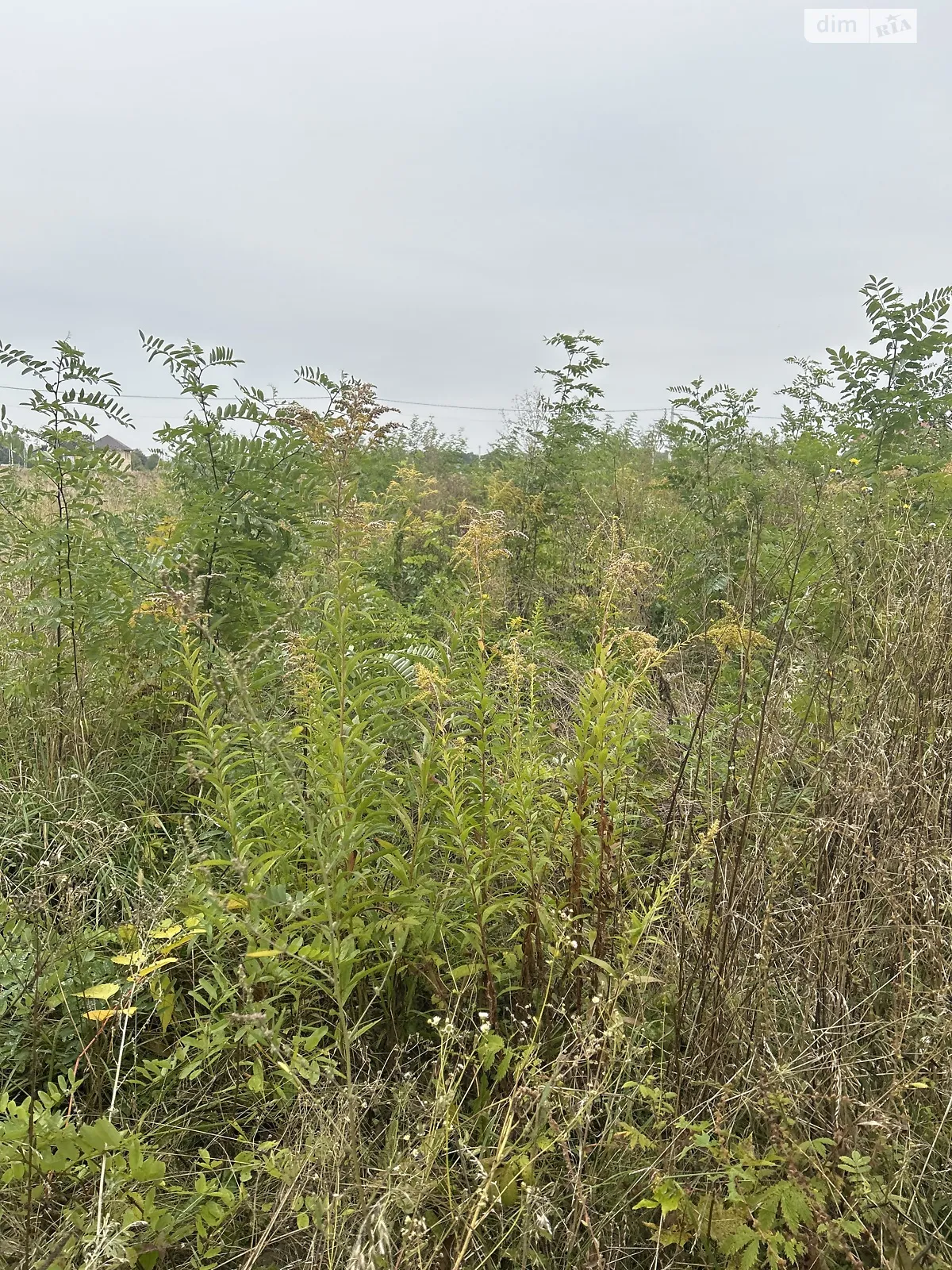 Продается земельный участок 6 соток в Винницкой области, цена: 25000 $ - фото 1