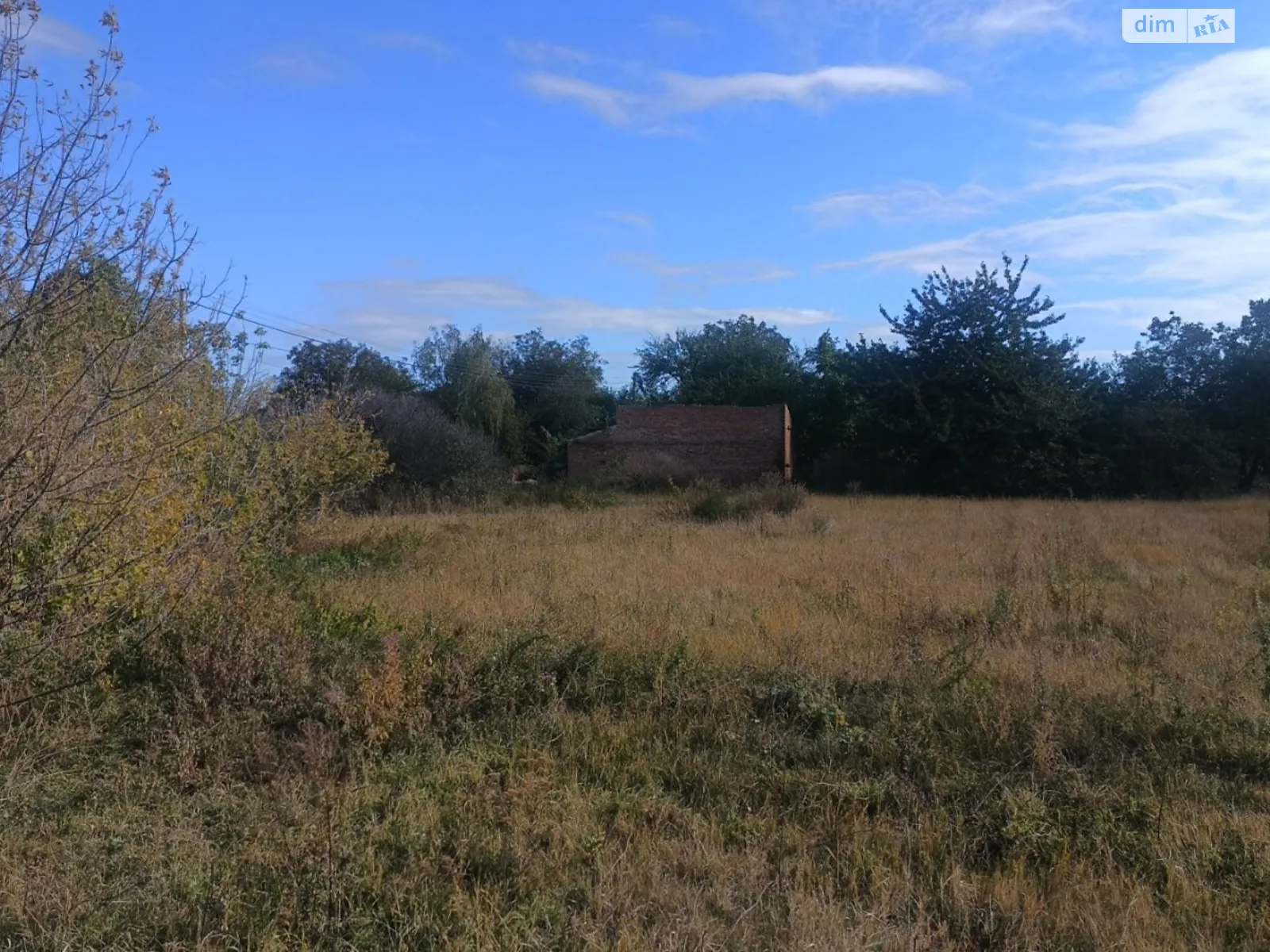 Жуки (Полтава), цена: 6499 $ - фото 1