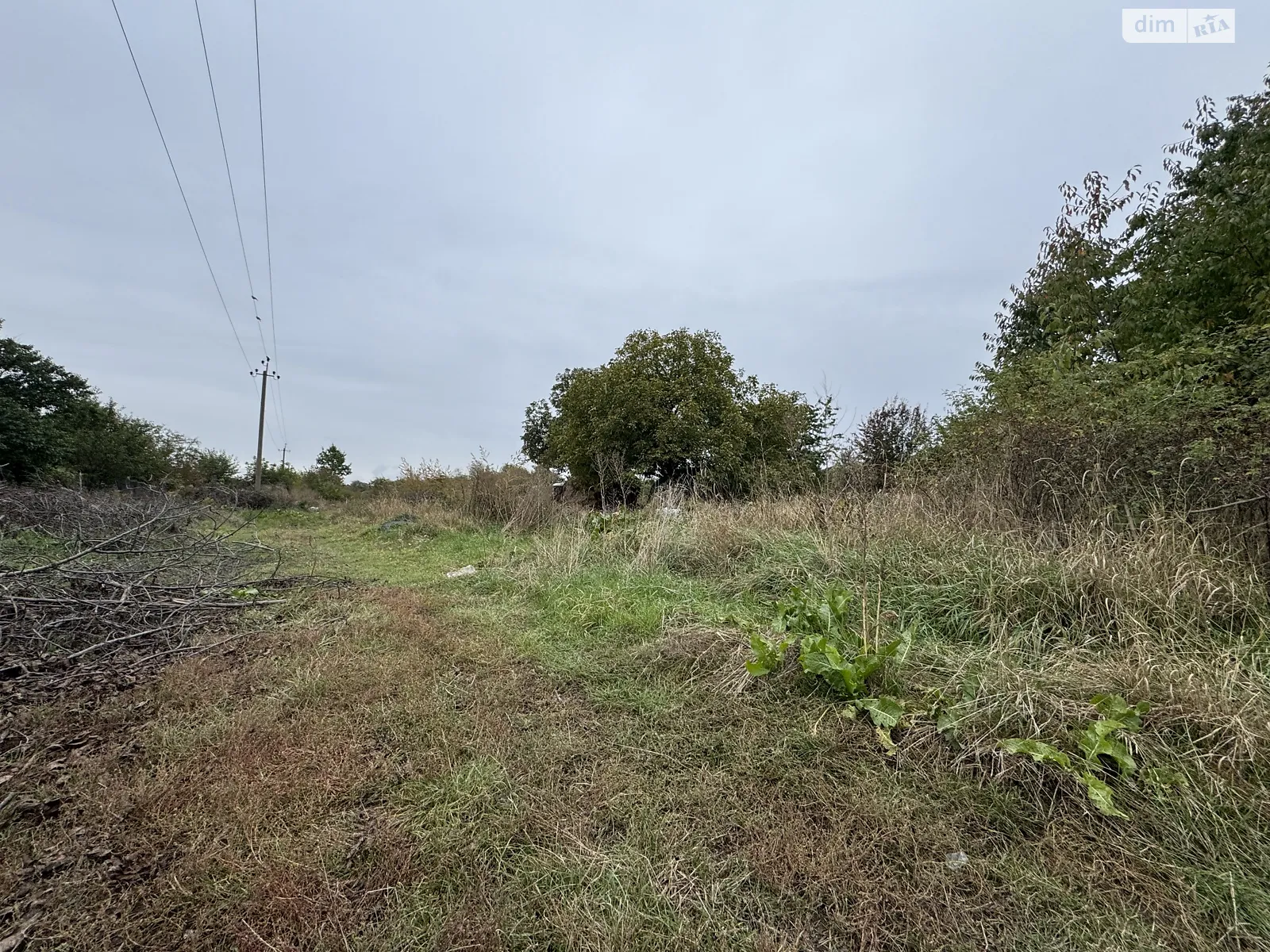 Продается земельный участок 50 соток в Винницкой области, цена: 65500 $ - фото 1