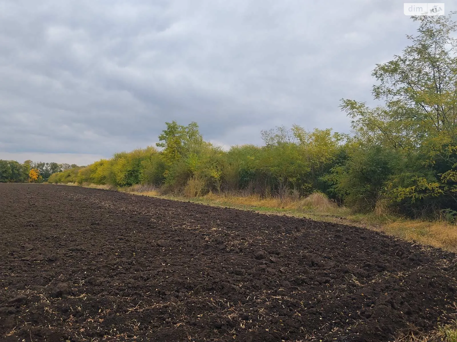 Сдается в аренду земельный участок 13.79 соток в  области, цена: 77250 грн - фото 1