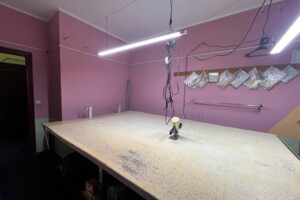 Продажа специального помещения, Винница, р‑н. Старый город, Брацлавская улица