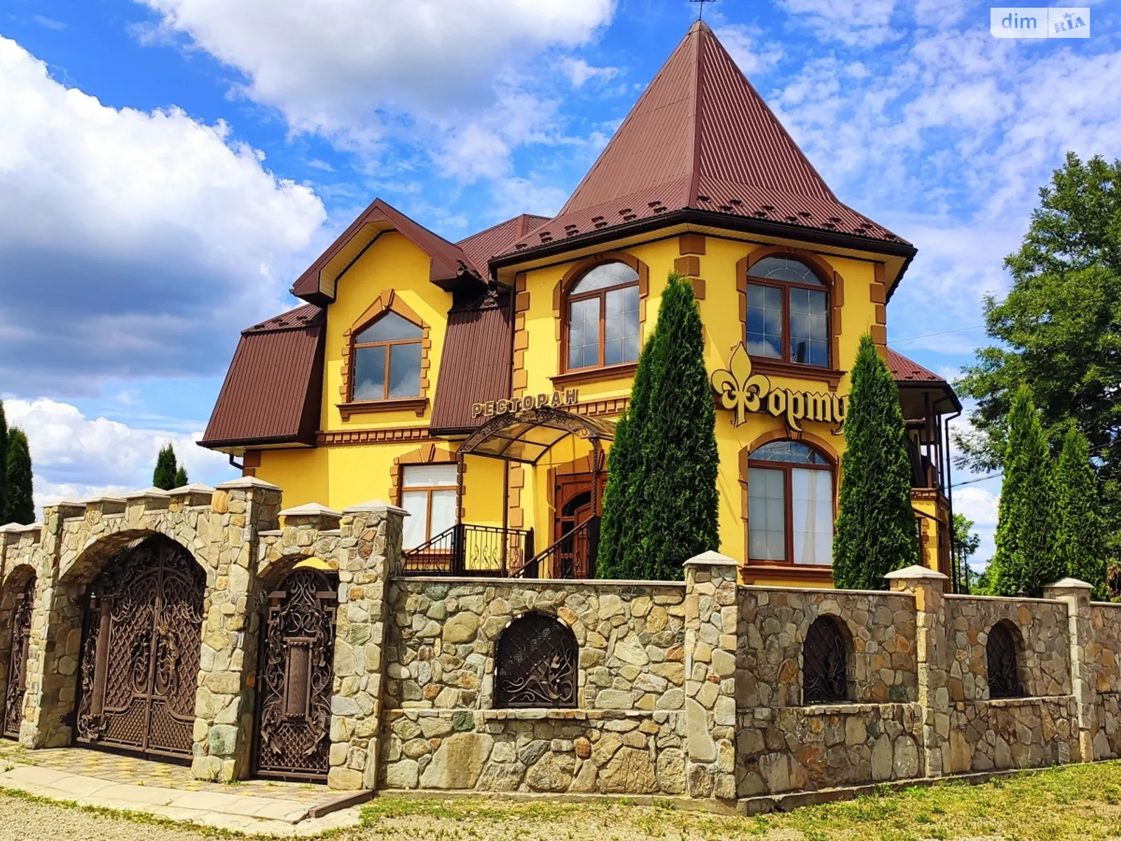 ул. Сечевых Стрельцов, 29 Верхний Струтинь, цена: 949950 $ - фото 1