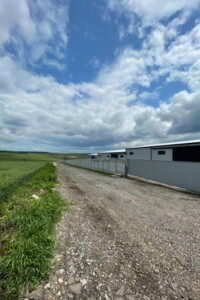 Долгосрочная аренда коммерческого помещения, Хмельницкая, Лесовые Гриновцы, Центральная улица