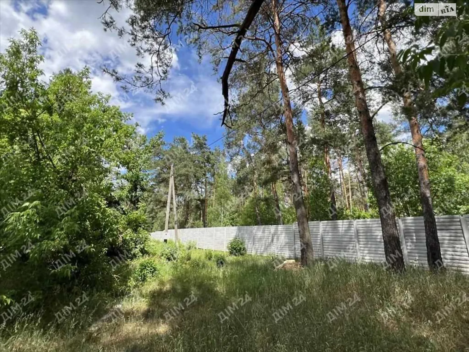 Продается земельный участок 25 соток в Полтавской области, цена: 40000 $ - фото 1