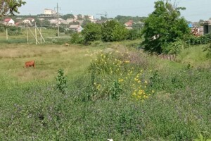 Куплю земельный участок в Измаиле без посредников