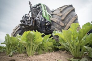 Продажа земли сельскохозяйственного назначения, Винницкая, Лукашовка (Литин)