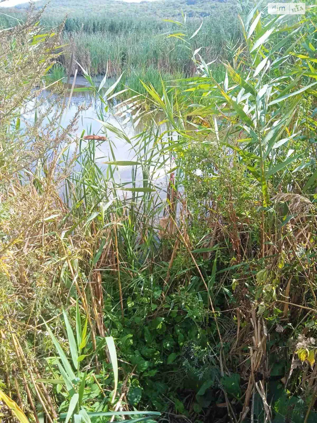 Рошнов, цена: 160000 $ - фото 1