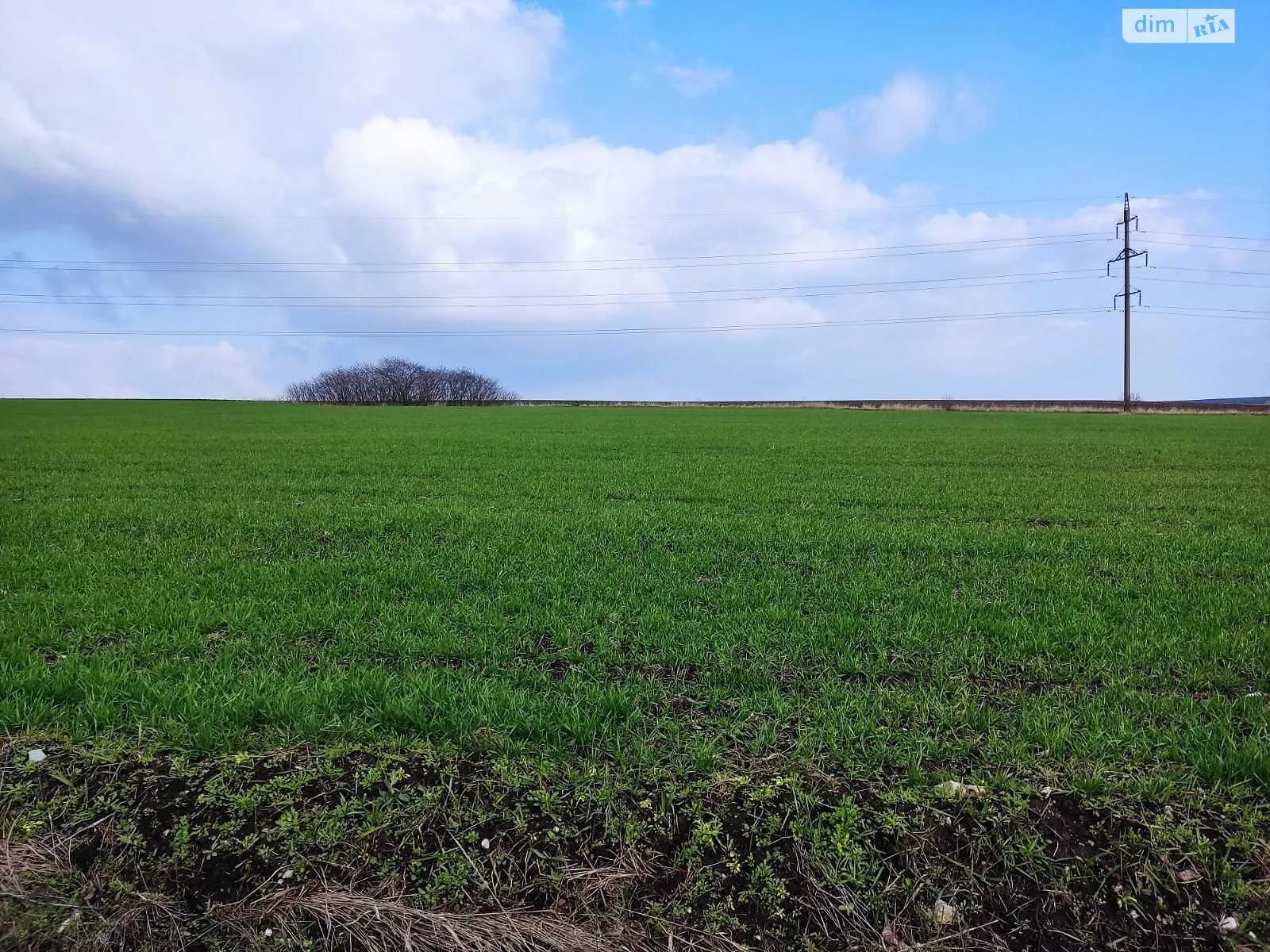 Продается земельный участок 15 соток в Хмельницкой области, цена: 4485 $ - фото 1